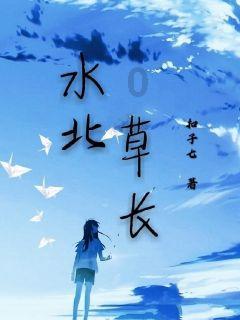 狗狗物品记忆卡